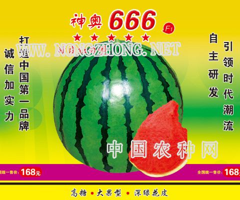 神奥666